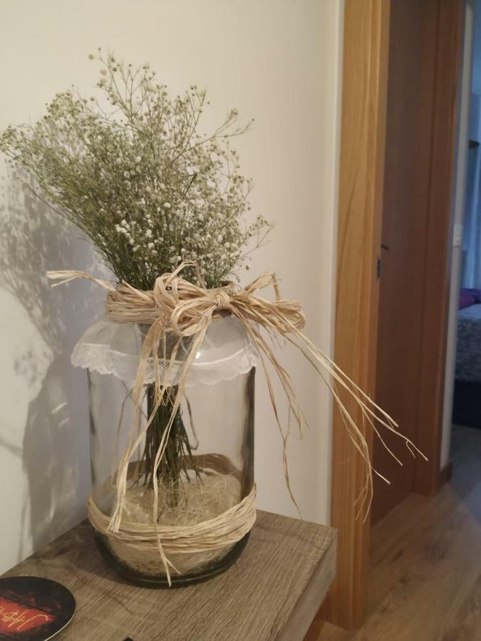 Living Burgos Apartment Екстериор снимка